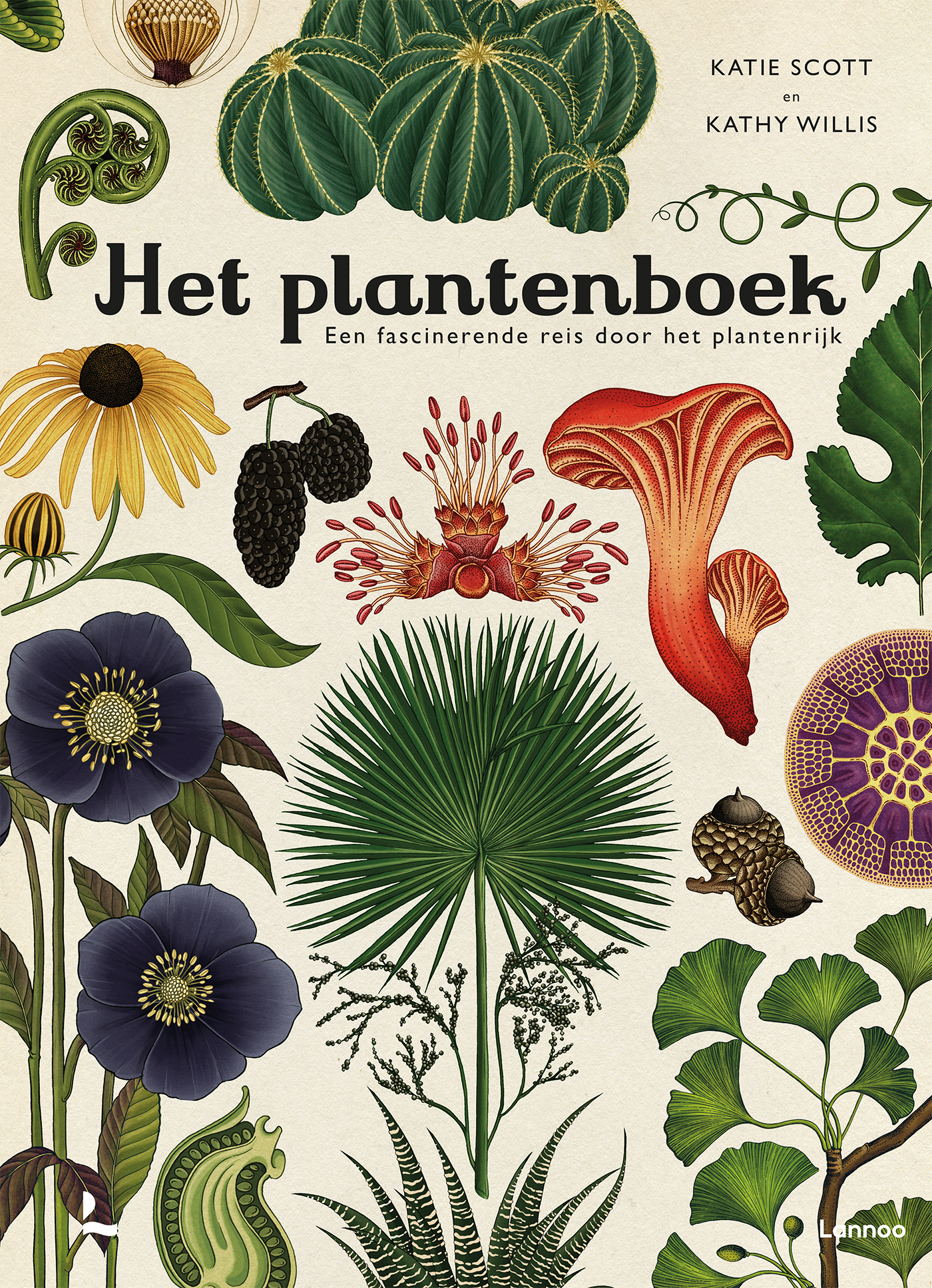 Het plantenboek | Uitgeverij Lannoo