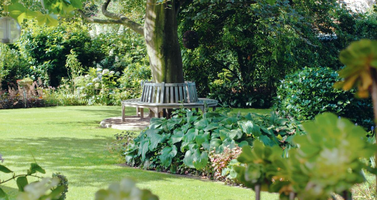 tuin groen bomen bankje struiken