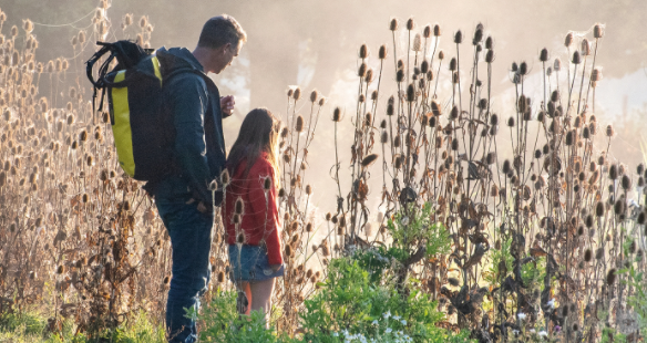 Onze Natuur banner