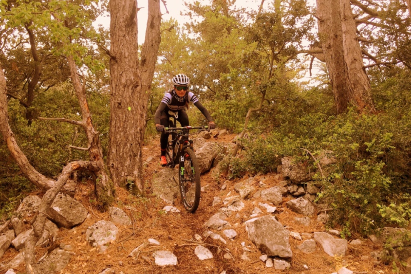 downhill mountainbike mont ventoux sport